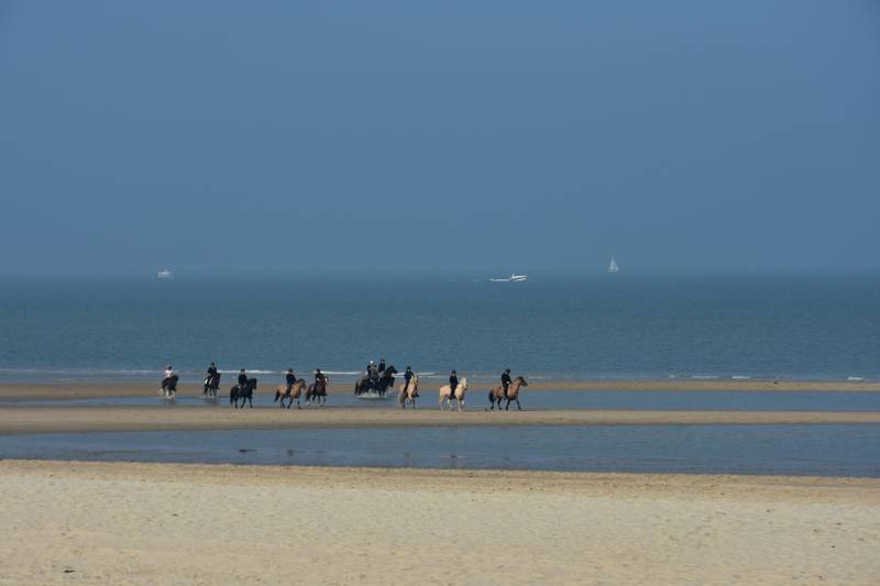 Beach Holiday Callantsoog with your horse. 